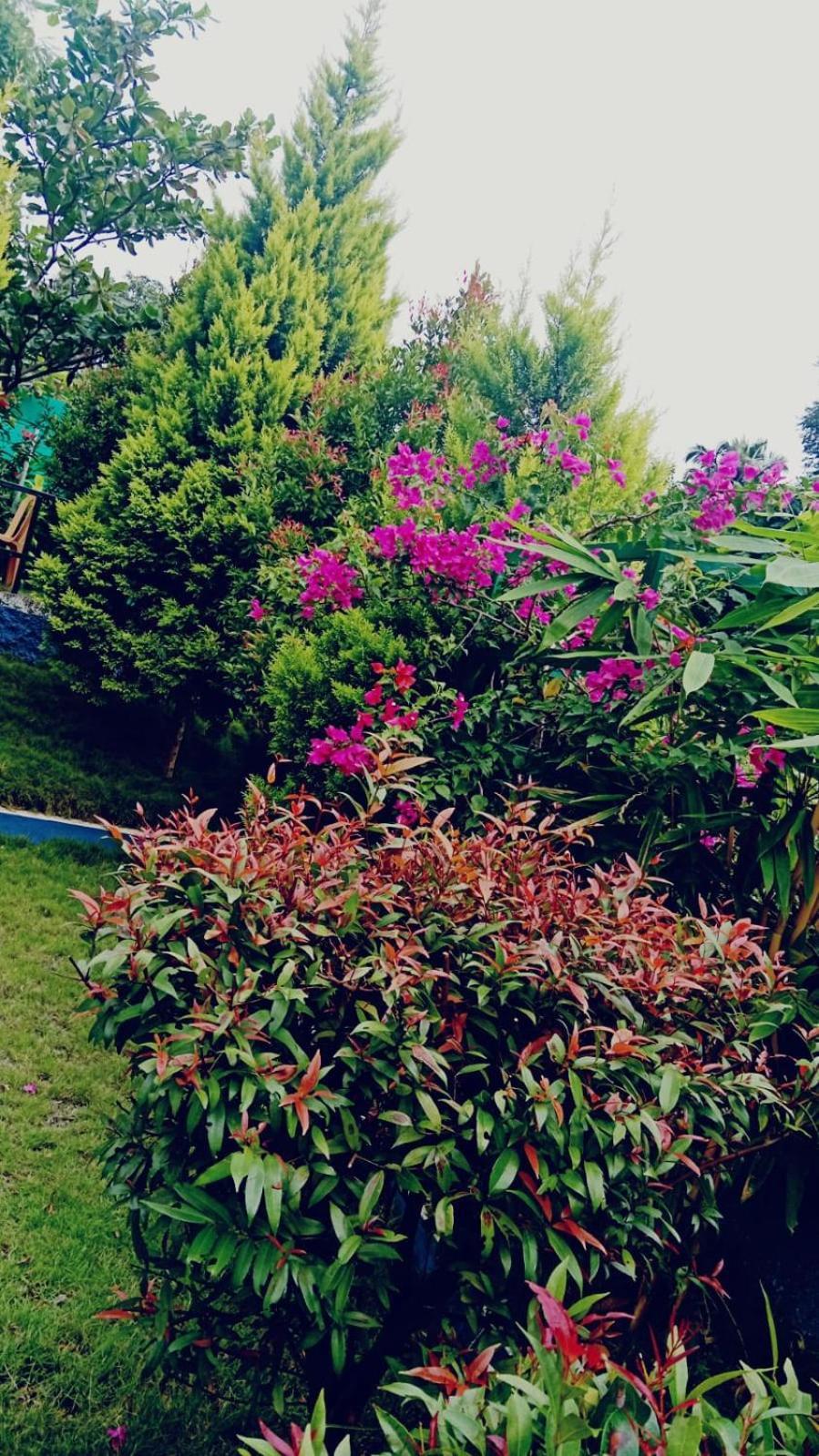 Serene Blossom Valley Tenkasi Exterior photo